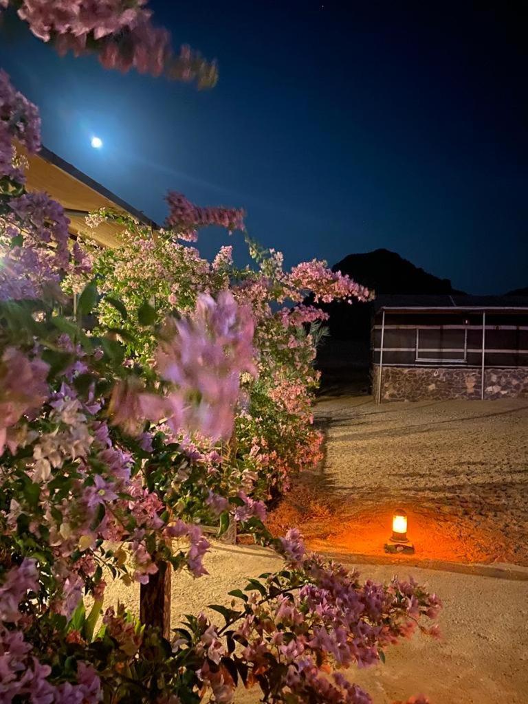 Moon Night Camp Otel Ram Vadisi Dış mekan fotoğraf