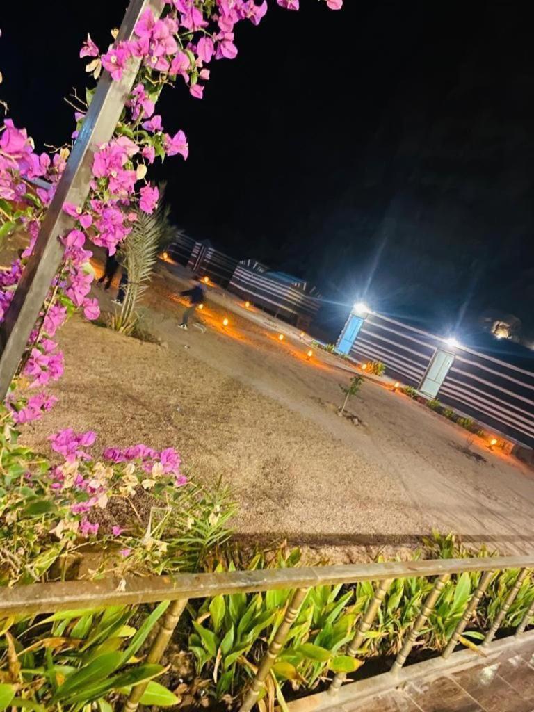 Moon Night Camp Otel Ram Vadisi Dış mekan fotoğraf
