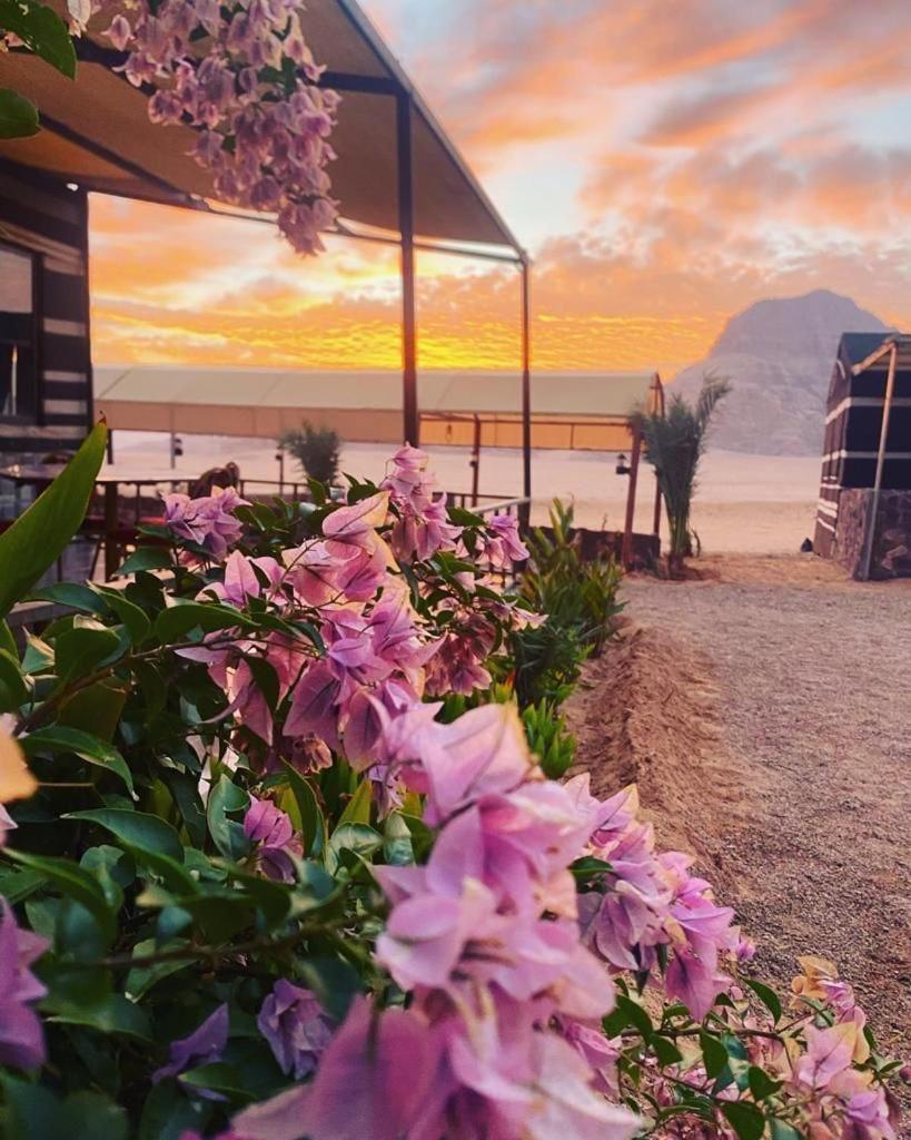 Moon Night Camp Otel Ram Vadisi Dış mekan fotoğraf