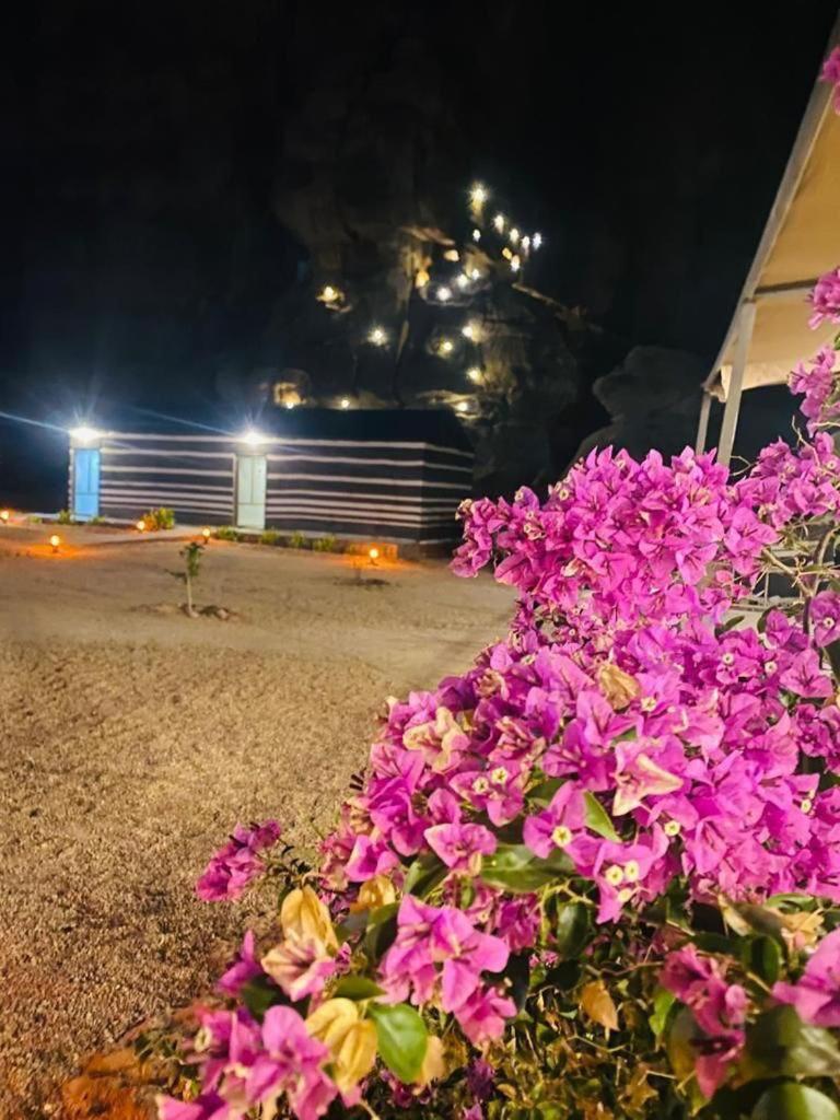 Moon Night Camp Otel Ram Vadisi Dış mekan fotoğraf